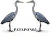 Patapon95